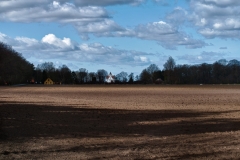 Søholt, Lolland   © Henrik Maribo Pedersen